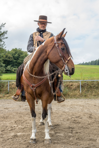 Reitausbildung zum Bridle Horse in Anlehnung an die klassisch-kalifornische Tradition mit Rolf Schönswetter