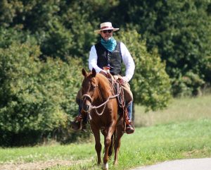 Pferde- und Reitausbildung in Anlehnung an die kalifornische Tradition
